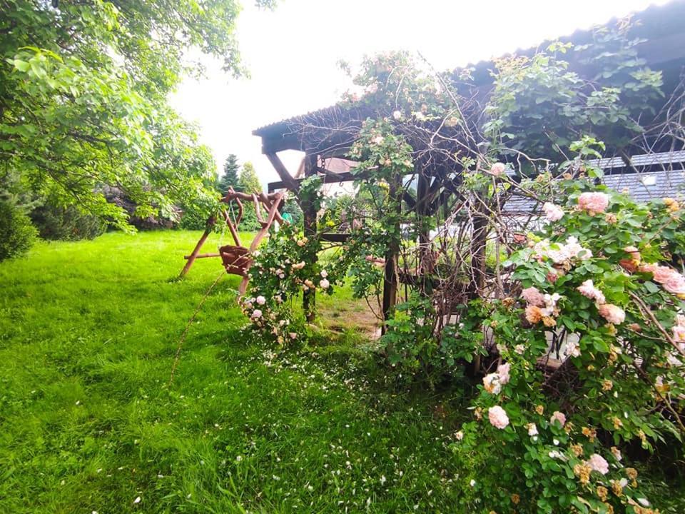 Osada Pogodno Villa Miłków Exteriör bild